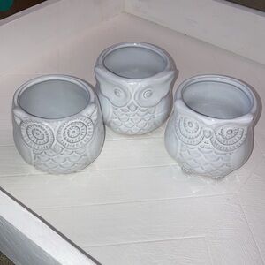 Set of 3 White Glazed Terracotta Owl Planters